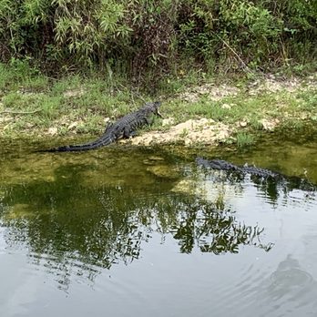Big Cypress Oasis Visitor Center - Visitor Centers Near Me - Ochopee, Florida Big Cypress Oasis Visitor Center - Visitor Centers Near Me - Ochopee, Florida