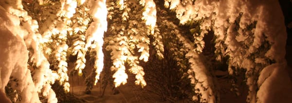 Firefly Landscape Lighting