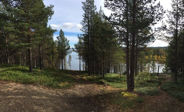 Siida - Sámi Museum and Nature Center by null