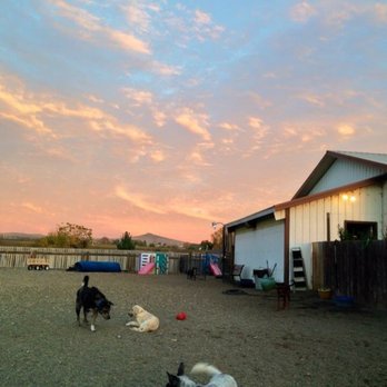 Pomona Pet Services - Part of the Large Dog Yard - Pet Sitting Near Me - Yakima, Washington Pomona Pet Services - Part of the Large Dog Yard - Pet Sitting Near Me - Yakima, Washington