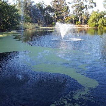 Anthony's Fish Grotto - Anthony's Beautiful Lake View From The Windows - Seafood Near Me - La Mesa, California