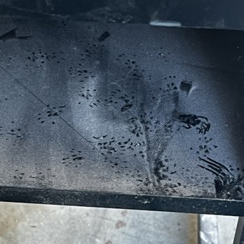 Extra Space Storage - Pest hand prints - Self Storage Near Me - Wilmington, California
