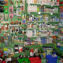 Pet Junction Grooming & Supplies - Photo