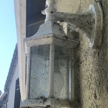 All Year Pressure Washing - Pressure Washers Near Me
