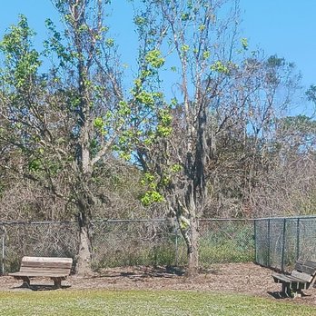 17th Street Dog Park - One of the many seating areas that is probably normally shaded - Dog Parks Near Me - Sarasota, Florida 17th Street Dog Park - One of the many seating areas that is probably normally shaded - Dog Parks Near Me - Sarasota, Florida