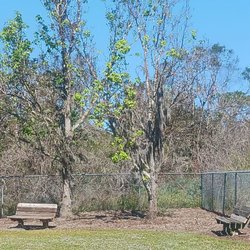 17th Street Dog Park - One of the many seating areas that is probably normally shaded