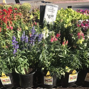 Lowe's Home Improvement - More flowers to select - Hardware Stores Near Me - Redlands, California