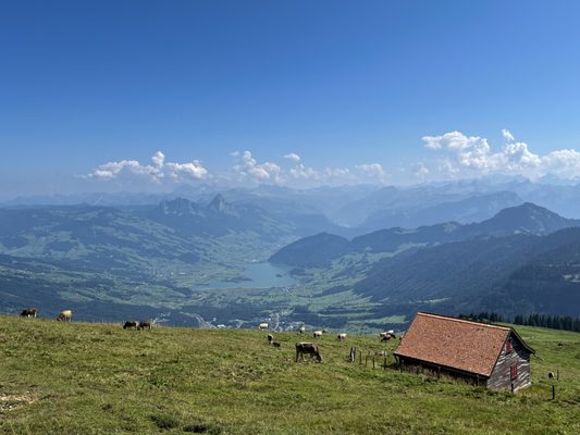 Rigi by null
