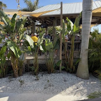 Salt Shack On The Bay - View - Seafood Near Me - Tampa, Florida Salt Shack On The Bay - View - Seafood Near Me - Tampa, Florida