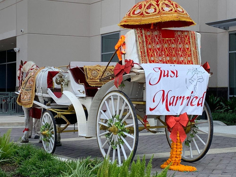 Houston Wedding Horses - equestrian in OLD RVR-WNFRE, TX