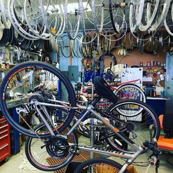 Conroe Schwinn