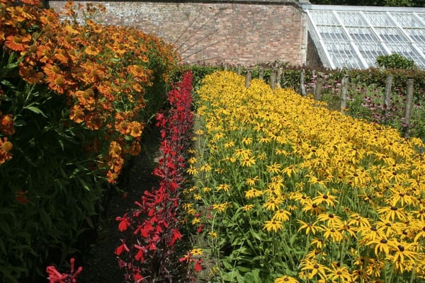 Photo of The Lost Gardens of Heligan - St.Austell, CON, GB.