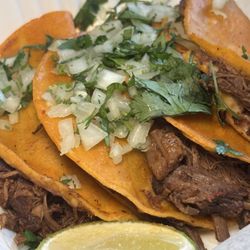 Taco & Margarita