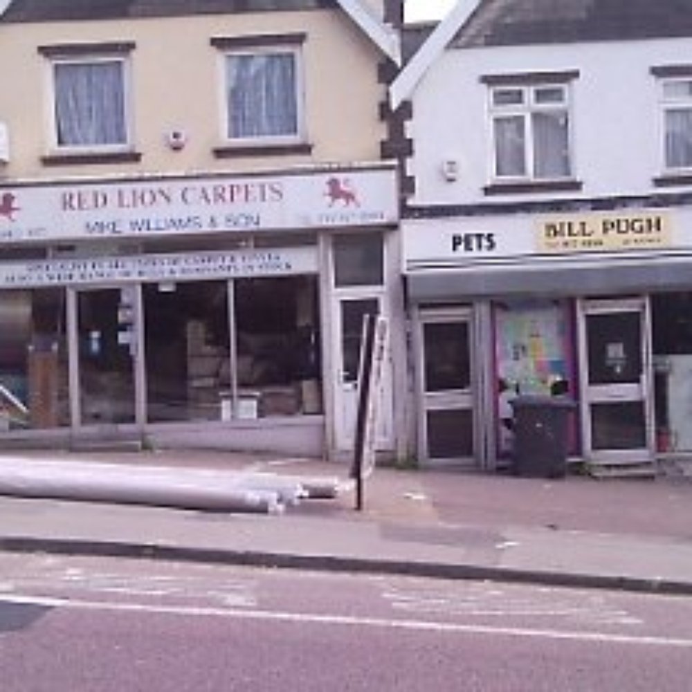 Red Lion Carpets - Home & Garden Near Me - Bristol, BST