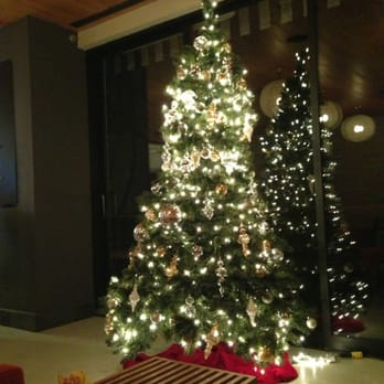 Pod 51 - Hotel Lobby - Hotels Near Me - New York, New York