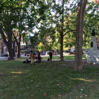 Square Saint-Louis - Grand trees providing shade in the park - Parks Near Me - Montreal, Quebec Square Saint-Louis - Grand trees providing shade in the park - Parks Near Me - Montreal, Quebec