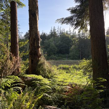 Earth Sanctuary - May 2026 forest - Parks Near Me - Langley, Washington