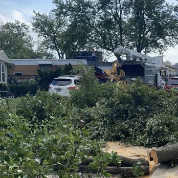 The Tree Guys of Illinois - Storm damage cleanup throughout property. - Tree Services Near Me The Tree Guys of Illinois - Storm damage cleanup throughout property. - Tree Services Near Me
