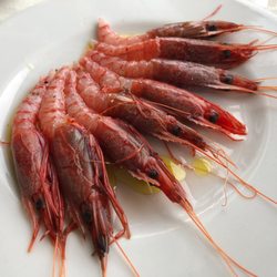 Da Vittorio di Maranzano Francesca - raw shrimps