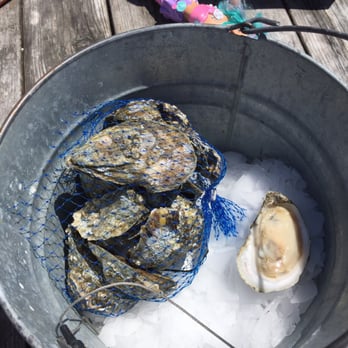 Taylor Shellfish Farms - Dozen Virginicas - absolute YUM! - Seafood Markets Near Me - Bow, Washington Taylor Shellfish Farms - Dozen Virginicas - absolute YUM! - Seafood Markets Near Me - Bow, Washington