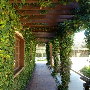 Baja Luxury Wine Tours - One of the many stops - Wine Tours Near Me - Rosarito, BCN