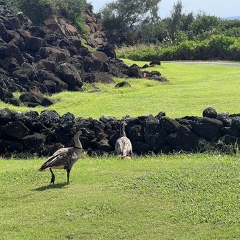 Poipu Bay Golf Course - Golf Near Me - Koloa, Hawaii Poipu Bay Golf Course - Golf Near Me - Koloa, Hawaii