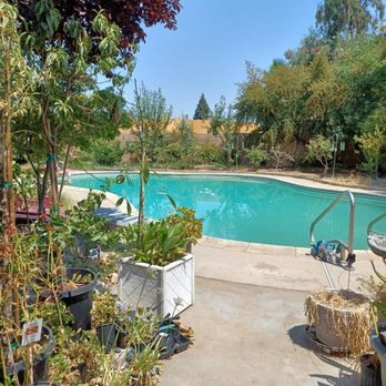 Abraham's Pool Service and Tile Cleaning - 7/14 - Pool Cleaners Near Me