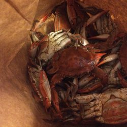 Philly's Seafood - 20 tiny crabs not worth it at all