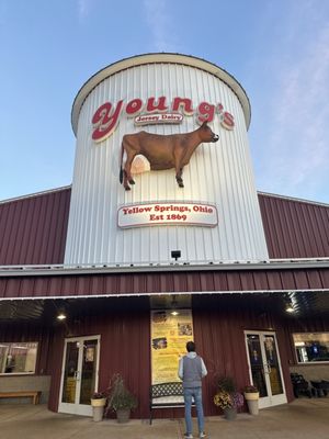 Young's Jersey Dairy by null