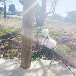 Outside Outside
