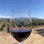 Photo of Ponte Winery