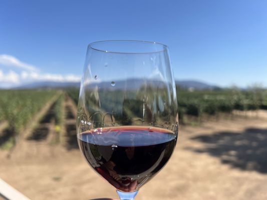 Ponte Winery by null