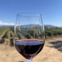 Ponte Winery - celebration for my sister at Ponte Winery in Temecula, CA.