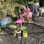 Photo of CocoCane Shack