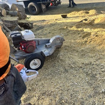 Affordable Tree - Stump grinding - Tree Services Near Me - Tracy, California