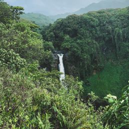 Road to Hana Road to Hana