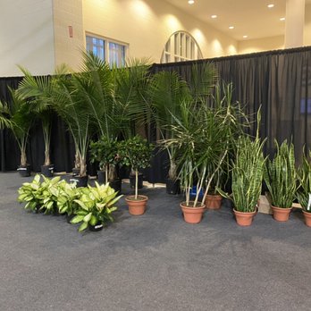 M2 Property Services - Plant move - Tree Services Near Me M2 Property Services - Plant move - Tree Services Near Me