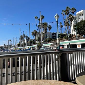 Quality Seafood - View from table - Seafood Markets Near Me - Redondo Beach, California