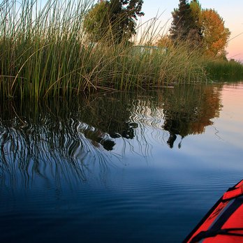 Snug Harbor RV Park - Kayaking past the resort at dusk - Campgrounds Near Me - Walnut Grove, California Snug Harbor RV Park - Kayaking past the resort at dusk - Campgrounds Near Me - Walnut Grove, California