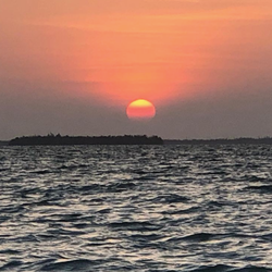 Wahoo Watersports In The Florida Keys