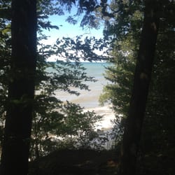 Sterling Nature Center - Heron rookery.