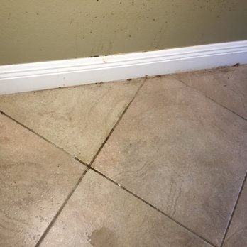 Hydradry - Under the dog food bowl, not sure why he didn't clean this. - Damage Restoration Near Me - Apopka, Florida Hydradry - Under the dog food bowl, not sure why he didn't clean this. - Damage Restoration Near Me - Apopka, Florida