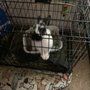 Photo of Animal Medical Center