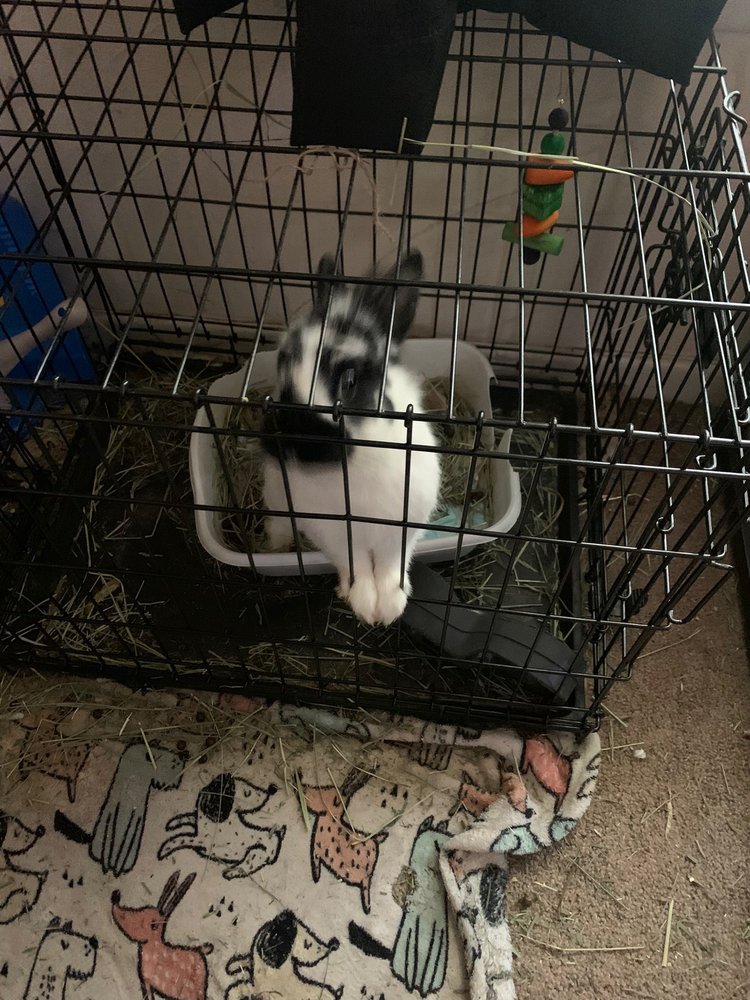 Animal Medical Center Image