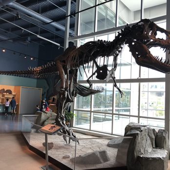 Science World - T-Rex skeleton - Museums Near Me - Vancouver, British Columbia Science World - T-Rex skeleton - Museums Near Me - Vancouver, British Columbia