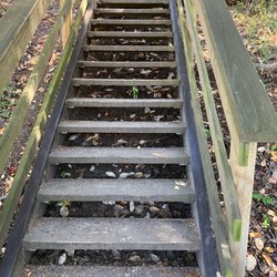 Montague Harbour Marine Provincial Park - There are stairs on the Gray Point Trail.