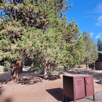 Serrano Campground - Sanitary sewer, bear box, shade between trees - Campgrounds Near Me - Fawnskin, California Serrano Campground - Sanitary sewer, bear box, shade between trees - Campgrounds Near Me - Fawnskin, California