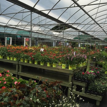 Pike Nurseries - Nurseries & Gardening Near Me - Atlanta, Georgia Pike Nurseries - Nurseries & Gardening Near Me - Atlanta, Georgia