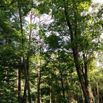 北杜市役所白州 尾白の森名水公園べるが Public Services Government 白州町 白須8056 北杜市 山梨県 Japan Phone Number 北杜市役所白州 尾白の森名水公園べるが Public Services Government 白州町 白須8056 北杜市 山梨県 Japan Phone Number