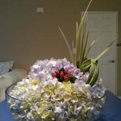 Wild Daisy - Beautiful!! Amazing price.. love this place